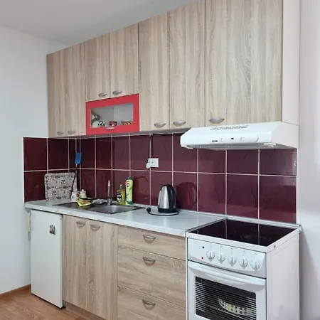 Pogled Apartment *