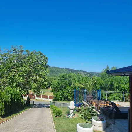 Pogled
