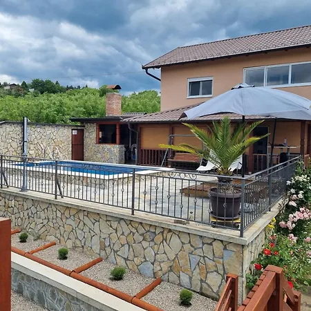 Pogled *